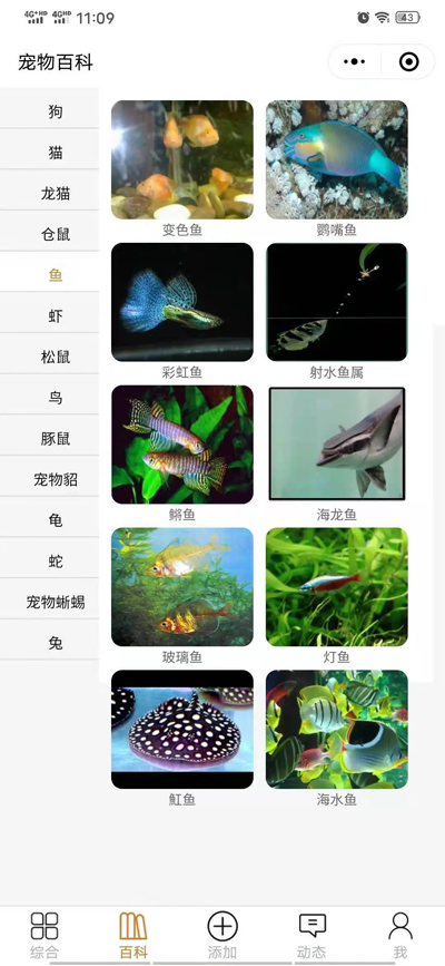 开源宠物社区微信小程序源码企业网-专注于分享建站技术教程企云网